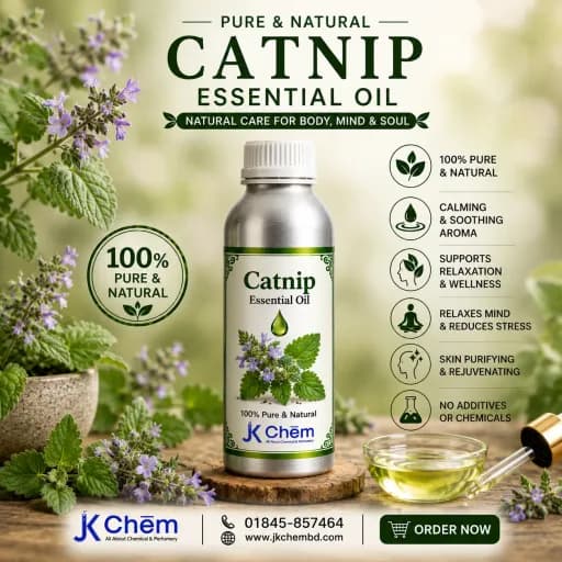 Catnip Essential Oil (ক্যাটনিপ এসেনশিয়াল অয়েল ) | Premium Pure Catnip Essential Oil for Aromatherapy, Skincare, Hair Care & DIY Cosmetics